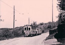 Schweizer Eisenbahn, Elektrische Strassenbahnen Zug, Train à Nidfuren, Photo 1954 BVA ESZ 35.9 - Strassenbahnen