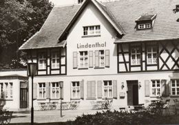 DC2583 - Gardelegen Lindenthal - Gardelegen