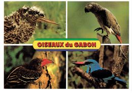 CPM GABON THEMES ANIMAUX - Butor étoilé - Perroquet Gris - Calao Pygmée - Martin Chasseur - Gabon