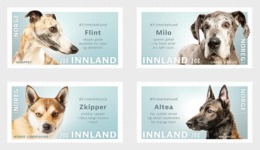 Noorwegen / Norway - Postfris / MNH - Complete Set Honden 2020 - Nuovi