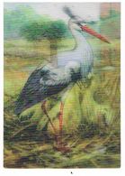 Cp Stereoscopiques  Cigogne    2visions  Tbe  CL 04 - Cartes Stéréoscopiques