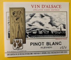 15133 - Alsace  Pinot Blanc Klevner - Autres & Non Classés