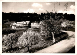 Kurhaus Hasenstrick Am Bachtel - Post Hinwil * 5. 5. 1948 - Hinwil