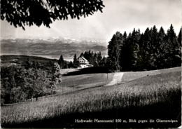 Hochwacht Pfannenstiel 850 M, Blick Gegen Die Glarneralpen (8592) * Egg 26. 7. 1965 - Egg