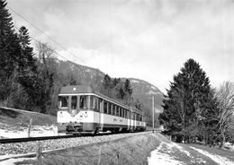 BVA - Entre Baulmes Et Six-Fontaines - YSteC - YSte C - Y.S.T.E.C - Ligne De Chemin De Fer Train - Baulmes