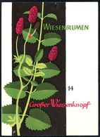 D7416 - DJH Jugendherbergsgroschen Spendenkarte Jugendherberge - Entwurf E. Feuerstein - Plantes Médicinales