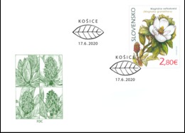 Slovakia - 2020 - Nature Protection - Košice Botanical Garden - Magnolia Grandiflora - FDC (first Day Cover) - FDC