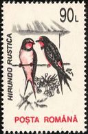 Roumanie. Rumania .1993 Hirondelle.  Barn Swallow - Hirondelles