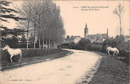 DERVAL - Avenue De La Gare - Derval