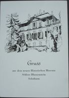 SOLOTHURN Gruss Aus Dem Historischen Museum Schloss Blumenstein Nach Federzeichnung Dr. G. Loertscher - Sonstige & Ohne Zuordnung