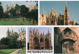 PETERBOROUGH - Cathedral - Multivues - Other & Unclassified