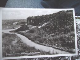 Nederland Holland Pays Bas Schiermonnikoog Met Schelpenpad 2e Dennen - Schiermonnikoog