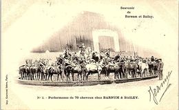 SPECTACLE --  Souvenir De Barnum Et Bailey - N°2 - Performance De 70 Chevaux Chez Barnum & Bailey - Circus