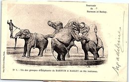 SPECTACLE --  Souvenir De Barnum Et Bailey - N°1 - Un Des Groupes D'éléphants De Barnum & Bailey - Circus