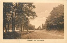 CPSM 77 Seine Et Marne Cesson Bois De Bréviande - Cesson