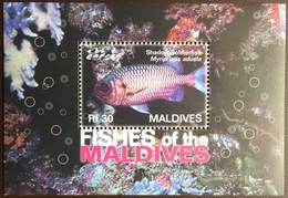 Maldives 2007 Fish Minisheet MNH - Poissons