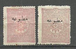 Turkey; 1893 Overprinted Stamp For Printed Matter 20 P.(Rose) RRR - Neufs