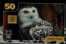 ESTONIA 1999 PHONECARD OWLS USED VF!! - Hiboux & Chouettes