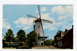 D327 - Oss Witte Molen - Molen - Moulin - Mill - Mühle - Oss