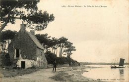 île Aux Moines * La Cale Du Bois D'amour * Débit De Boissons - Ile Aux Moines