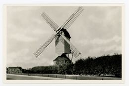 D332 - Roosendaal Bredaseweg Standaardmolen 2 - Molen - Moulin - Mill - Mühle - Roosendaal