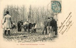 Compiègne * La Curée * Chasse à Courre * Vènerie - Compiegne