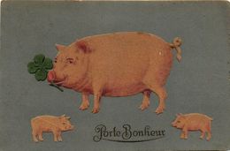 Cpa En Relief * Cochon * Cochons * Porte Bonheur * Trèfle à Quatre Feuilles - Pigs