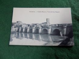 VINTAGE SPAIN: PALENCIA Puente Mayor B&w Saus - Palencia