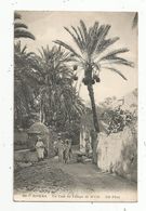 Cp, ALGERIE , BISKRA , Un Coin Du Village De M'Cid , Voyagée 1914 - Biskra