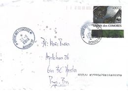 Comores Comoros 2019 Moroni Comoro Flying Fox Bat Pteropus Livingstonii WWF Cover - Lettres & Documents