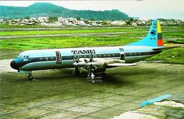 LOCKHEED L-188 ELECTRA -TAME 1977 (TRANSPORTES AEROS NACIONALES ECUATIANAS)  - Aviation (Avion Aircraft Jet Luchtvaart) - Equateur