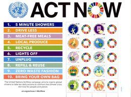 ONU New-York 2020 - Feuille De Timbres Personnalisés "Act Now" Crise Climatique Climate Crisis ** - Blocks & Sheetlets
