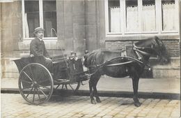 ATTELAGE DE CHEVAL Carte Photo Gros Plan - A Identifier