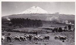 PC El Cotopaxi De Quito  (50956) - Ecuador