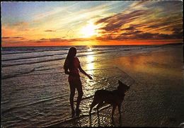 Coucher Soleil Femme Chien - Contre La Lumière