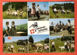 IKC-14  Zentral-Schweiz. Trachten. Kuhe Vache, Chèvre. Gelaufen. .Grand Format - Laufen-Uhwiesen 