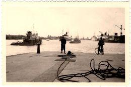 Photo Originale Port De Bordeaux & Remorqueurs Du Côté Des écluses, Quai De Bacalan - 20.08.1952 - Boten