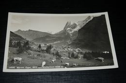 16198-              MÜRREN - 1939 - Vaches