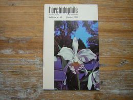 L'ORCHIDOPHILE Onzieme Année BULLETIN N° 40 FEVRIER 1980 - Tuinieren