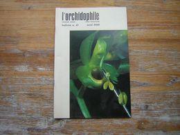 L'ORCHIDOPHILE Onzieme Année BULLETIN N° 41 AVRIL 1980 - Garden