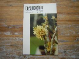 L'ORCHIDOPHILE Onzieme Année BULLETIN N° 42 JUIN 1980 - Jardinería