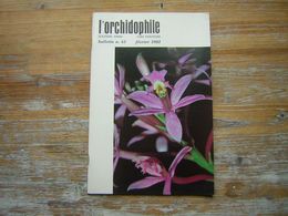 L'ORCHIDOPHILE Douzieme Année BULLETIN N° 44 FEVRIER 1981 - Tuinieren