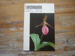 L'ORCHIDOPHILE Onzieme Année BULLETIN N° 43 OCTOBRE 1980 - Garten