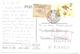 Chine Carte Pour La France Abeille - Storia Postale