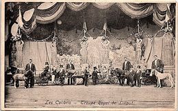SPECTACLE - CIRQUE Et Phénomènes - Les Colibris - Troupe Royal De Liliput - Cirque