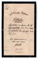 VP17.181 - 1891 - Généalogie - Faire - Part De Décès - OTTILIE ?? ( Italie - Roumanie ??  ) - Obituary Notices