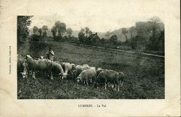 LUMBRES LE VAL Berger Et Moutons Verso Flamme KRAG Boulogne Semaine Du Poisson 1923 - Lumbres