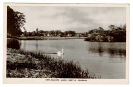 Ref 1374 - Real Photo Postcard - Swan On Carlingwark Loch - Castle Douglas Scotland - Dumfriesshire