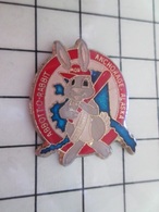 115d Pin's Pins / Rare & Belle Qualité !!! THEME SPORTS / BASE-BALL PIN'S USA LAPIN GRIS ALASKA ANCHORAGE - Baseball