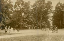 Le Gavre * Carte Photo * Forêt Du Gâvre - Le Gavre